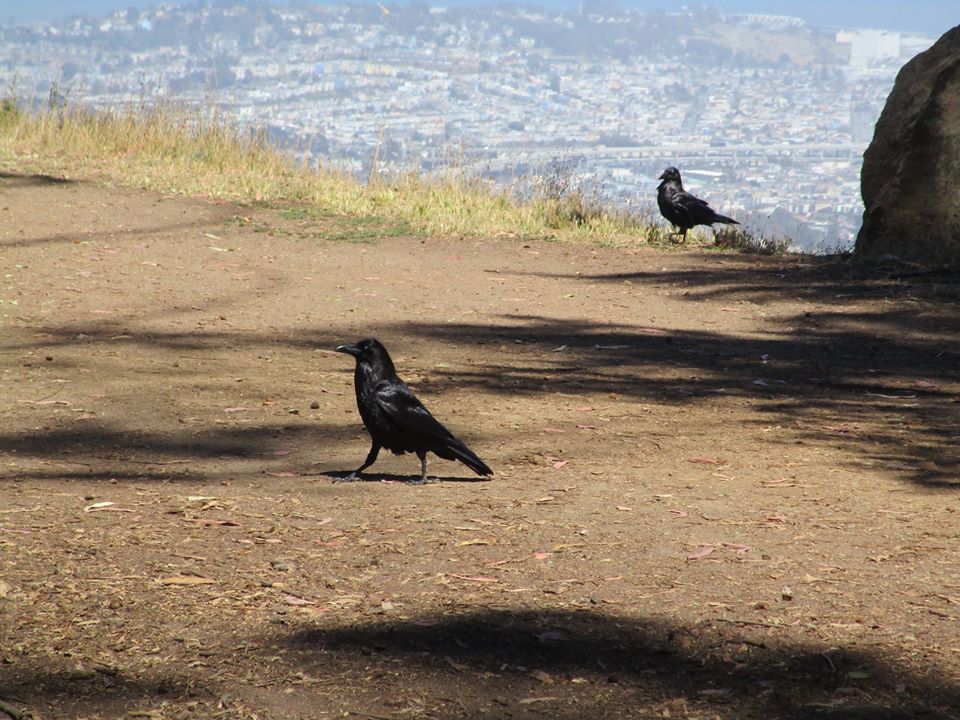 108696004_10222985761618813_3893353283374561082_o