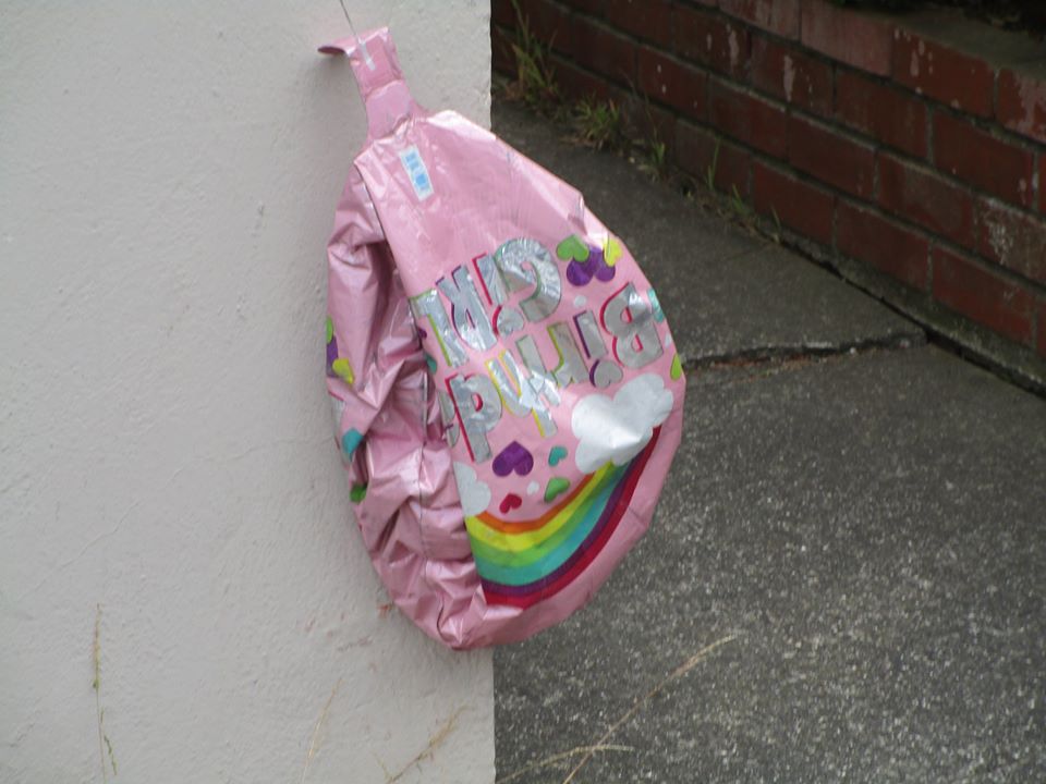 109747523_10223029859361229_2061699782178757889_o