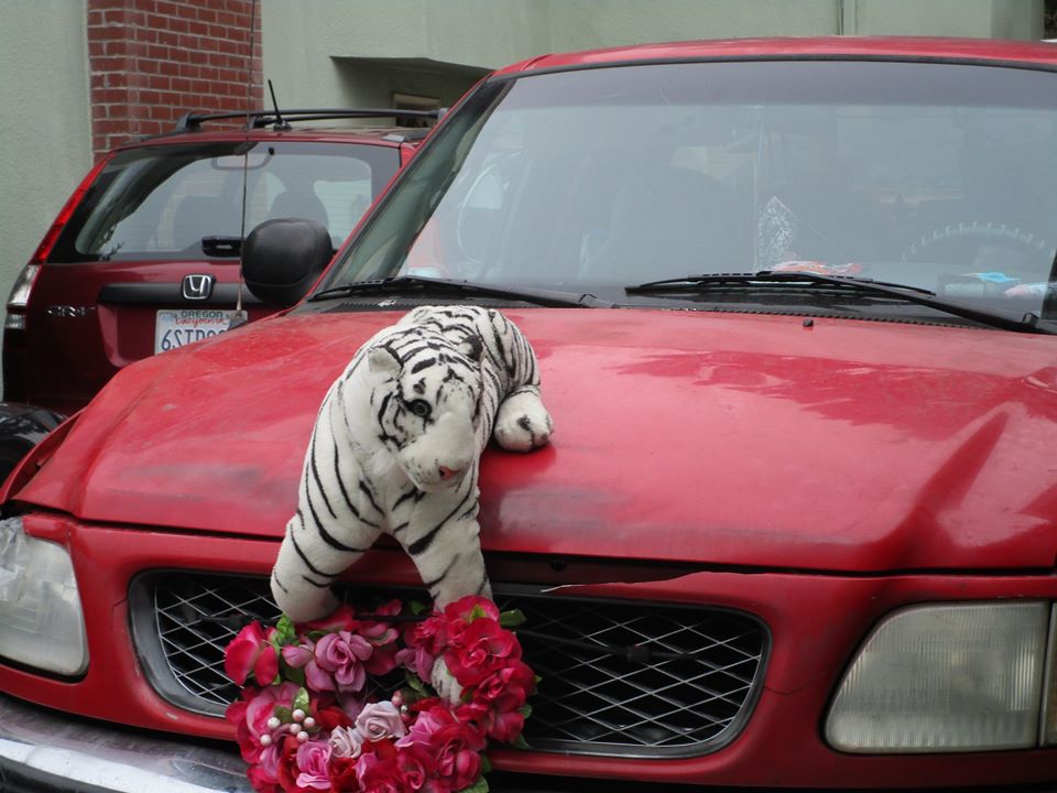 109953731_10223029827680437_2641173792124451893_o