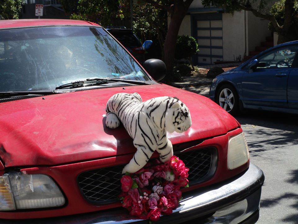 112942787_10223029830080497_9188675250171443963_o